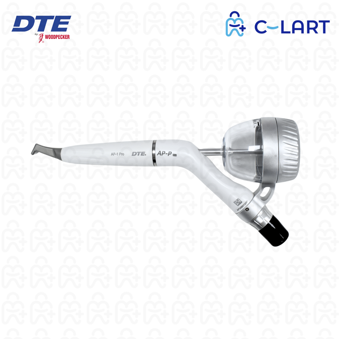 Aeropulidor AP-P DTE Woodpecker