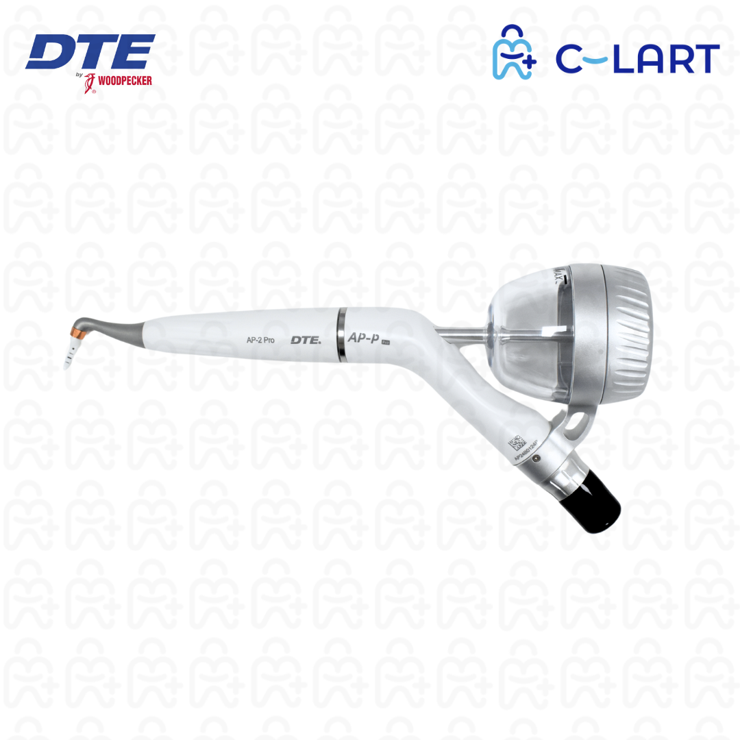 Aeropulidor AP-P DTE Woodpecker