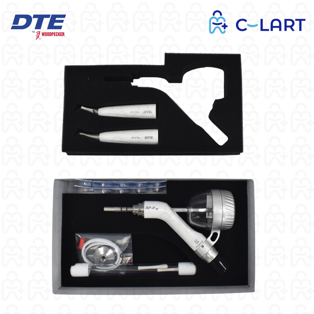 Aeropulidor AP-P DTE Woodpecker