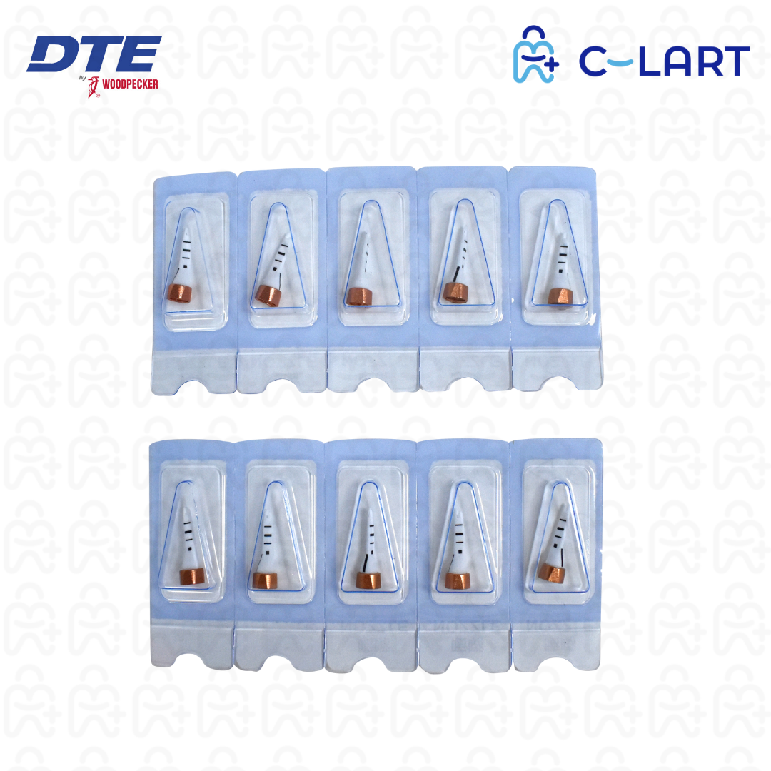 Aeropulidor AP-P DTE Woodpecker