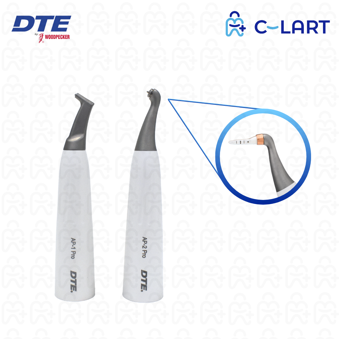 Aeropulidor AP-P DTE Woodpecker