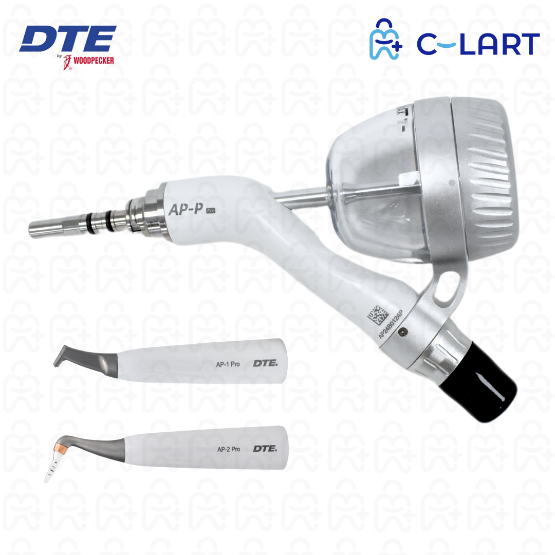 Aeropulidor AP-P DTE Woodpecker